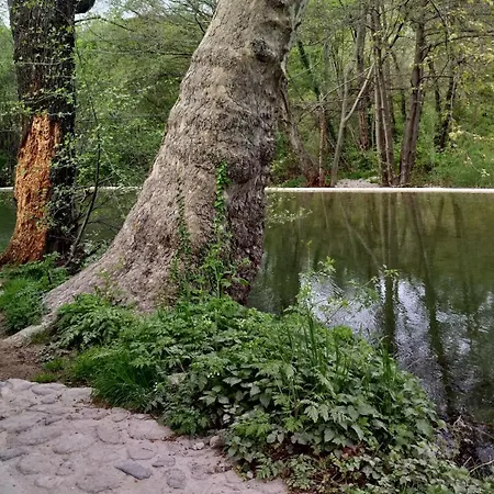 Le Moulin Aux Chandelles 